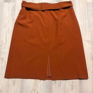 Banana Republic Skirt